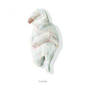 شقه بوقلمون (مقدار 1 کیلوگرم)